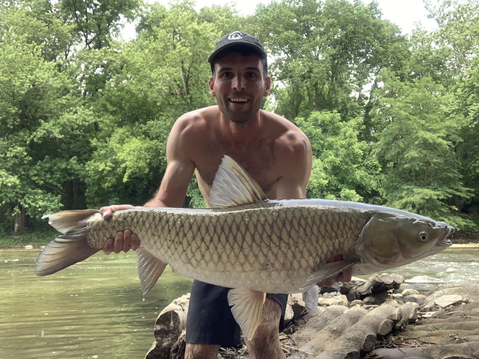 Grass Carp